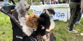 Domenica 12 all’Idroscalo torna la “Pet Flower Parade”