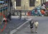 Droga, rapine e violenza, Polizia arresta 5 stranieri