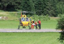 Schiacciato da pianta nel bosco, morto a Nembro