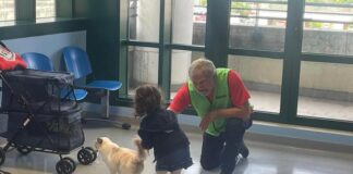 Cat Therapy per i bambini del Niguarda e del Fatebenefratelli