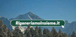 “Rigeneriamo Insieme”, La Community Della Sostenibilità, Per Azioni Concrete A Favore Dell’ambiente Nelle Mani Delle Persone