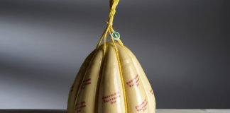 Provolone Valpadana DOP e musica: continua la partecipazione attiva del Consorzio ai festival estivi