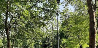 Giornata Mondiale dell’Ambiente, Green Busker Night in Parco Sempione