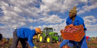 Contrasto al caporalato agricolo, Inps in prima linea nei controlli