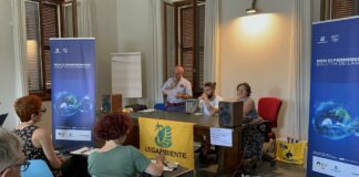 Goletta dei Laghi di Legambiente, sul Lago Maggiore fortemente inquinati 5 punti su 6