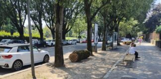 Tronchi d’albero come dissuasori sosta selvaggia