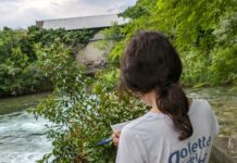 La salute dei laghi lombardi