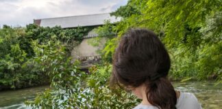 Goletta dei Laghi di Legambiente, speciale Lago di Como, fortemente inquinati 7 punti su 11