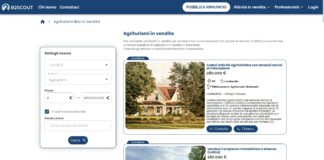 Retail e settore food: le attività commerciali più in vendita in Italia secondo B2Scout