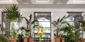 Triennale Milano e Lavazza Group presentano Kit eliminacode multifunzione (fichi d’India) di Luca Staccioli