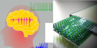 Assegnati 4 ERC Proof of Concept al Politecnico di Milano