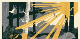 Il potere rigenerante della natura: trascorrere del tempo all’aperto migliora la salute
