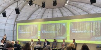 #RigeneraBoschi, progetto Sorgenia per gestione sostenibile di Parco Nord