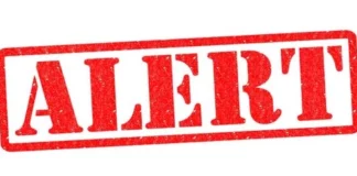 Truffa su chat di Telegram, alert della Polizia Postale