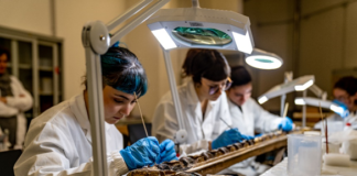 Scuola di Restauro di Botticino, al via il nuovo anno accademico