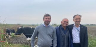 Zootecnia, ricerca made in Lombardia per ridurre emissioni
