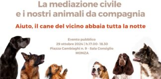 Animali da compagnia, come gestire le controversie