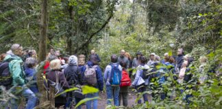 Forestami Academy, chiuso il ciclo di incontri