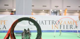 Quattrozampeinfiera sabato 5 e domenica 6 Parco Novegro