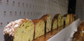 I finalisti di Mastro Panettone