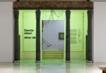 Davide Allieri After All da giovedì 14 in Triennale