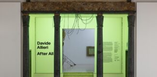 Davide Allieri After All da giovedì 14 in Triennale