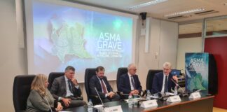Asma grave: un moderno approccio clinico-gestionale
