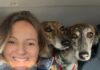 Dog City Garden | Apre a Milano la prima area cani privata