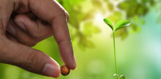 Agricoltura sostenibile, 11 milioni dalla Regione