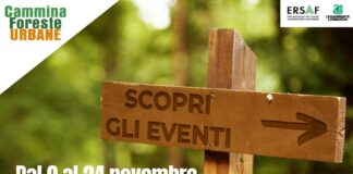 Torna Cammina Foreste Urbane di ERSAF e Legambiente Lombardia