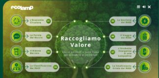 Rifiuti Raee, Facciamo Luce con Ecolamp