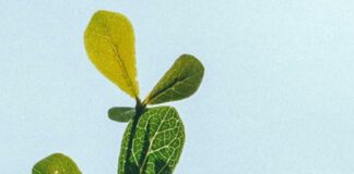 Sostenibilità e rendicontazione non finanziaria, altri 2 webinar a maggio