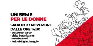 Piantiamola con la violenza sulle donne