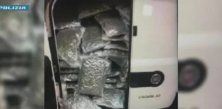 Traffico internazionale di droga, Polizia arresta 8 persone