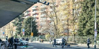 Camionista investe ed uccide donna sulle strisce, arrestato