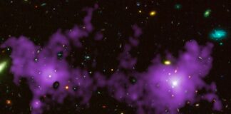 La ragnatela cosmica che forma l’Universo