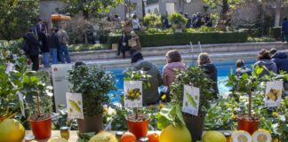 Gli Agrumi protagonisti a Villa Necchi Campiglio