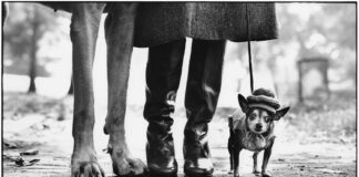 La Leica I compie 100 anni