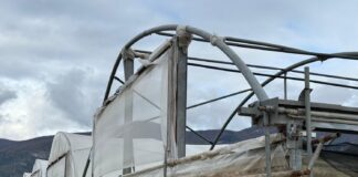 Agricoltura, sblocco fondi Agricat