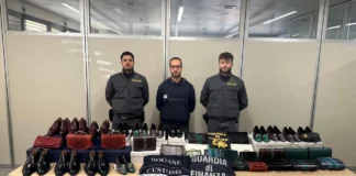 Pelli di rettili proibite, operazione GdF a Como