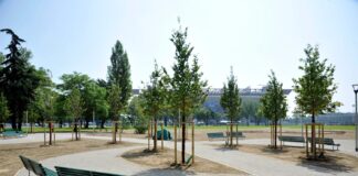 Stadio, task force per Parco dei Capitani