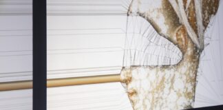Gli appuntamenti della settimana in Triennale