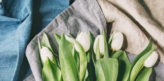 Ambiente, accordo per rifiuti tessili