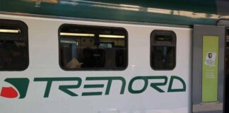 Trenord, nominati nuovo CdA e CEO