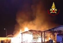 Incendio al Mercato Ortofrutticolo, danni ingenti a 3 capannoni