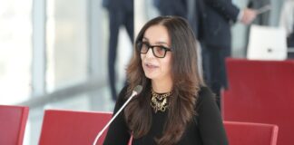 Mazzali: giovani ambasciatori del futuro della Lombardia