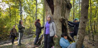 NatureTherapy® a Fa’ La Cosa Giusta