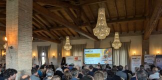 Costruzioni: fatturato in crescita per 1 azienda su 3 nel 2024