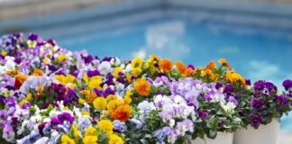 Soffio di Primavera a Villa Necchi Campiglio