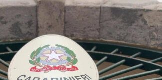 Pensionato ucciso a Suzzara, arrestata la figlia
